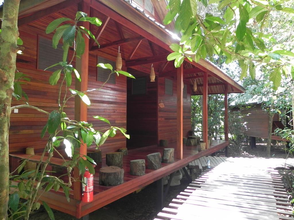 Borneo Natural Sukau Bilit Resort Rum bild