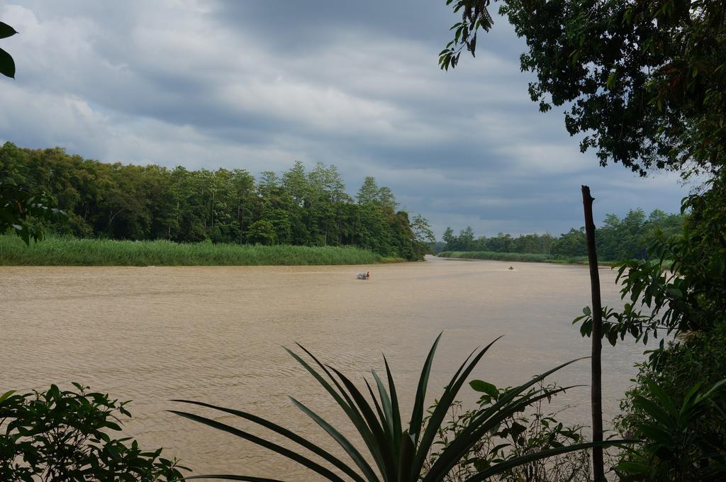 Borneo Natural Sukau Bilit Resort Exteriör bild